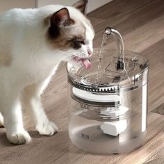 FrescaPaws : Fuente de agua automática para gatos: hidratación fresca, pura y saludable durante todo el día