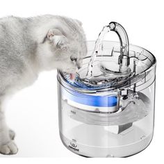 FrescaPaws : Fuente de agua automática para gatos: hidratación fresca, pura y saludable durante todo el día
